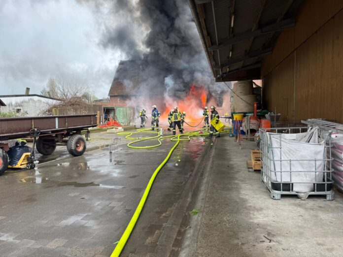 Stallbrand in Werne-Ehringhausen: 100 Ferkel sterben in Flammen