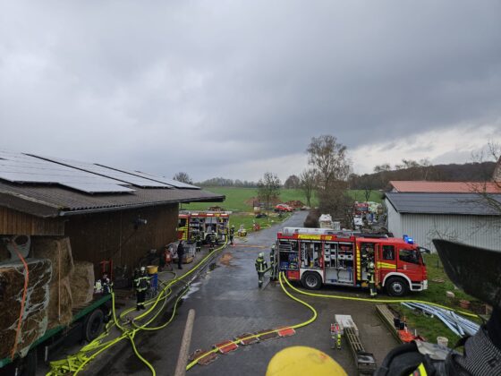 Stallbrand in Werne-Ehringhausen: 100 Ferkel sterben in Flammen