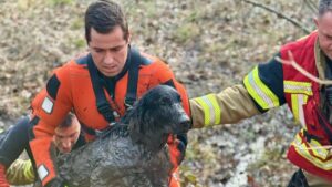 Schaumige Fahrbahn in Bremen: Unfall auf der A 281 sorgt für „Bierdusche“