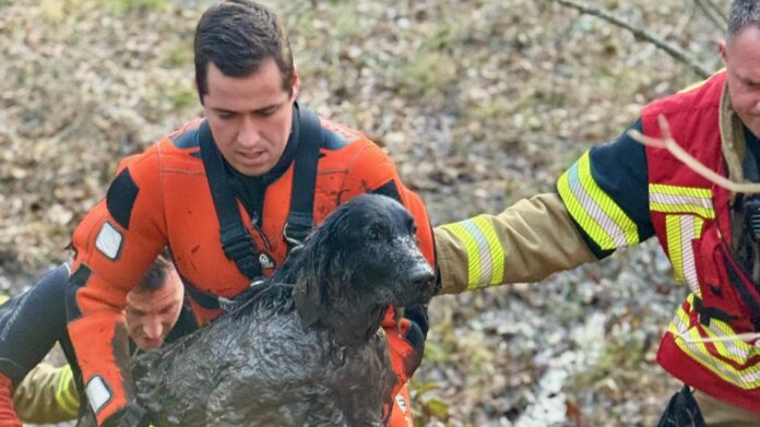 Feuerwehr in Stuttgart