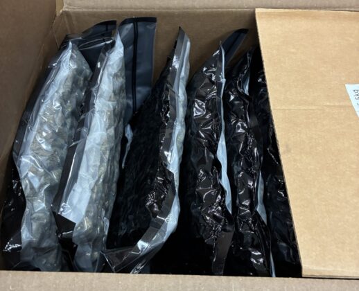 Millionenwert sichergestellt: Schlag gegen Betäubungsmittelkriminalität in NRW