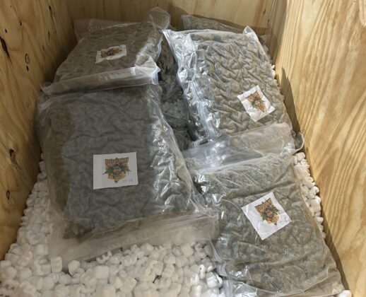 Millionenwert sichergestellt: Schlag gegen Betäubungsmittelkriminalität in NRW