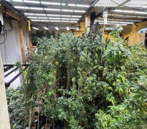 Hausbrand in Sonnefeld: 72-jähriger Bewohner in Lebensgefahr