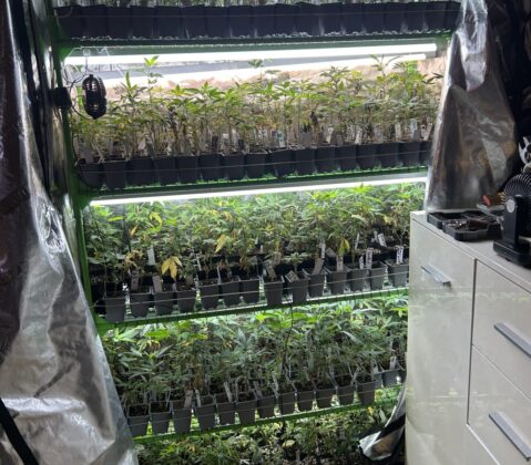 Ermittlungen der Staatsanwaltschaft Heilbronn: Schlag gegen Drogenring