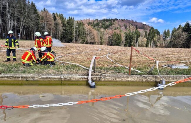 Großtierrettung in Stockach: Pferd in Wasserbecken verunglückt