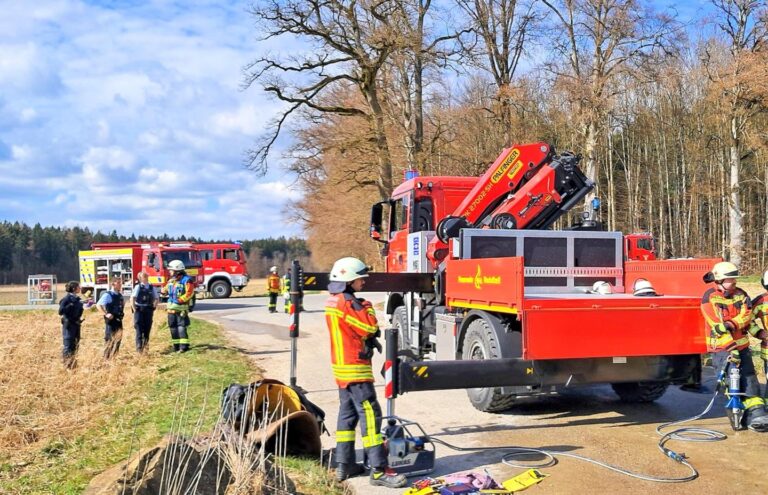Großtierrettung in Stockach: Pferd in Wasserbecken verunglückt