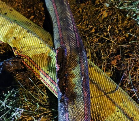 Großbrand in Raunheim: Traurige Bilanz nach Containerbrand