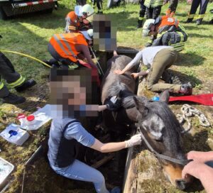 Girls' Day in der Westpfalz: Polizei bietet spannende Einblicke