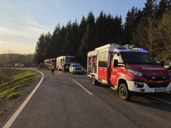 Unfall auf der L573 bei Mönchdorf: Schwerverletzter nach Zusammenstoß mit Mauer