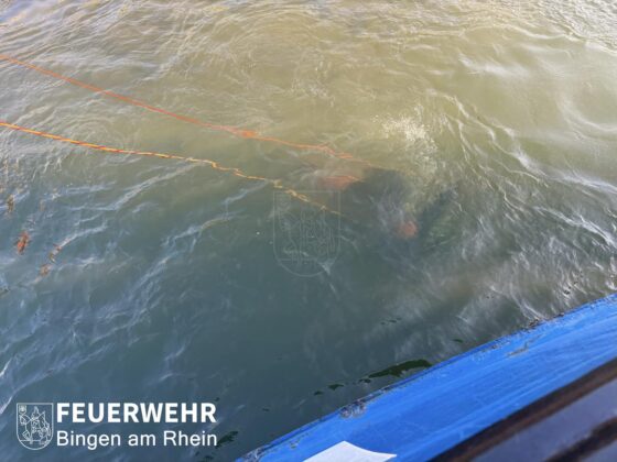 Schiffsunfall auf dem Rhein bei Bingen: Tanker mit Gefahrgut havariert