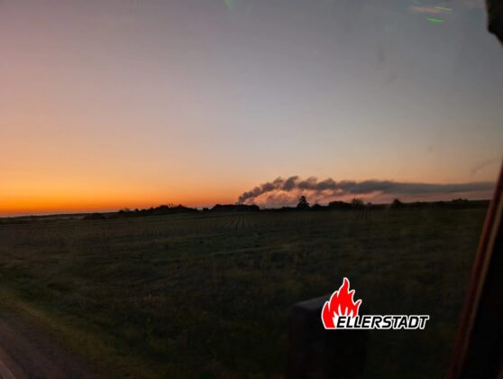 Industriebrand in Ellerstadt: Garagenkomplex in Vollbrand