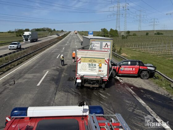 Feuerwehr Frankenthal im Einsatz: Turbulente 24 Stunden