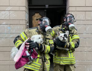 Brand am Berufskolleg in Gronau: Flammen im Klassenzimmer