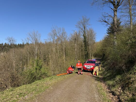 Personenrettung in Weinheim: Senioren aus Steilhang gerettet