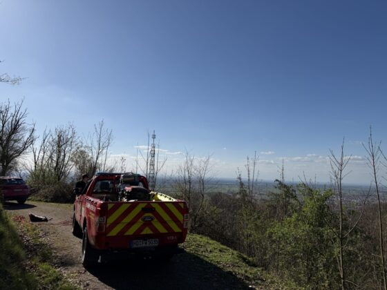 Personenrettung in Weinheim: Senioren aus Steilhang gerettet
