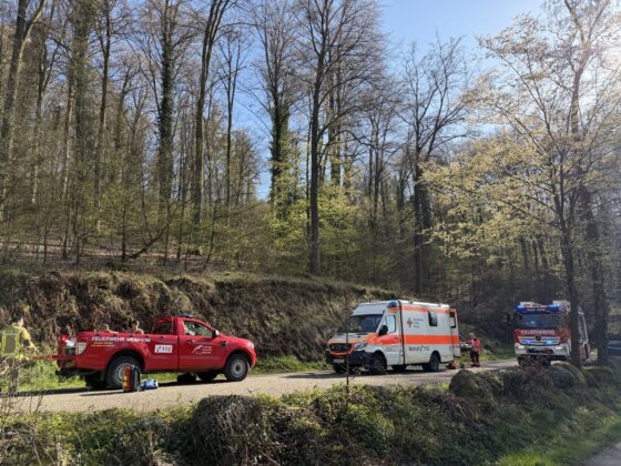 Personenrettung in Weinheim: Senioren aus Steilhang gerettet