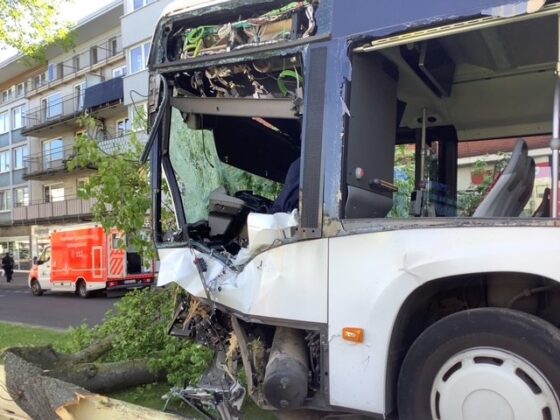Busunfall in Gelsenkirchen: Linienbus prallt gegen Bäume