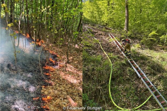Waldbrand in Stuttgart-Rohracker: Schwieriger Einsatz am Hang