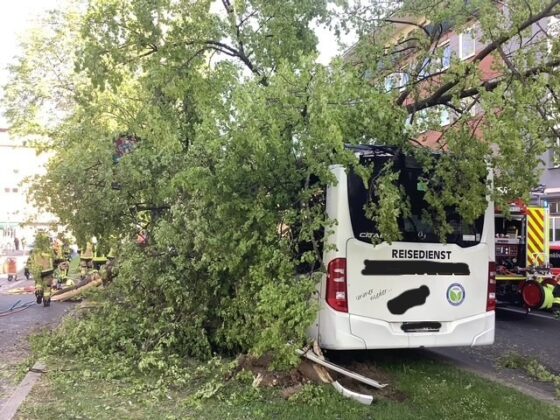 Busunfall in Gelsenkirchen: Linienbus prallt gegen Bäume