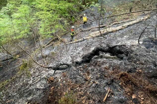 Waldbrand am Saurüsselkopf: Katastrophenfall in Ruhpolding