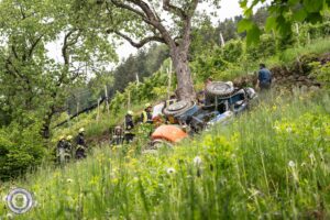 Unfall auf der A65 bei Kirrweiler: Pkw überschlägt sich in Weinberg