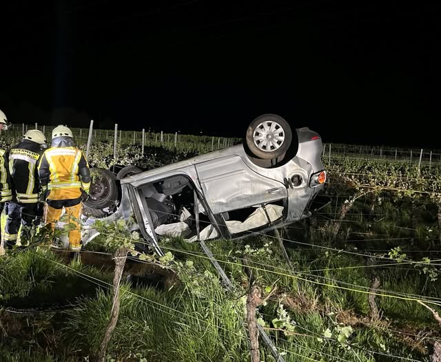 Unfall auf der A65 bei Kirrweiler: Pkw überschlägt sich in Weinberg