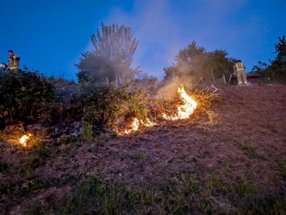 Einsatz der Feuerwehr Weinheim: Brand in den Weinbergen