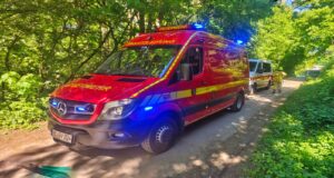 Einsatz der Feuerwehr Weinheim: Brand in den Weinbergen