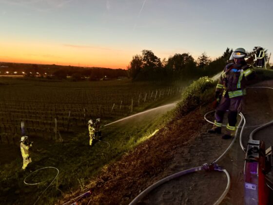 Einsatz der Feuerwehr Weinheim: Brand in den Weinbergen