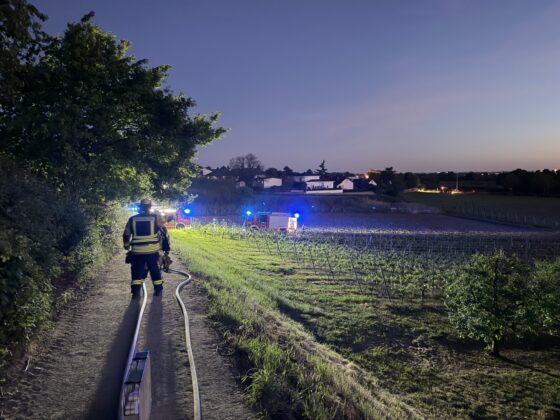 Einsatz der Feuerwehr Weinheim: Brand in den Weinbergen