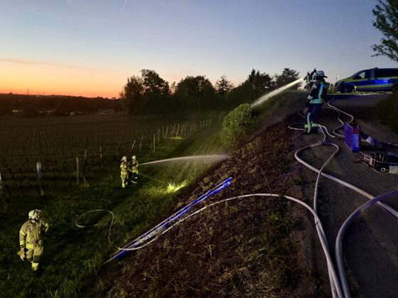 Einsatz der Feuerwehr Weinheim: Brand in den Weinbergen