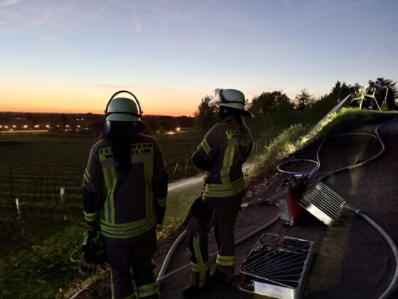 Einsatz der Feuerwehr Weinheim: Brand in den Weinbergen