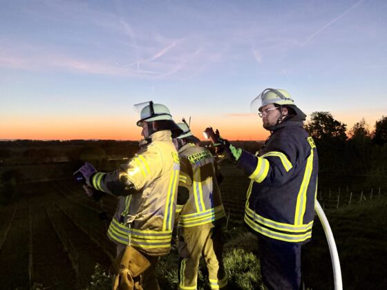 Einsatz der Feuerwehr Weinheim: Brand in den Weinbergen