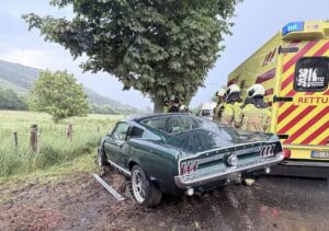 Unfall auf der Landesstraße 130: Holz-Lkw kippt in den Graben