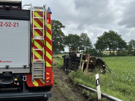 Unfall auf der Landesstraße 130: Holz-Lkw kippt in den Graben