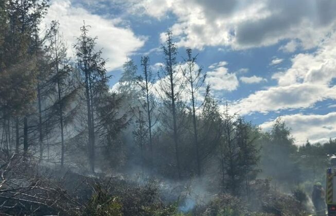 Waldbrand in Niederheimbach: Hubschrauber und Drohnen im Einsatz