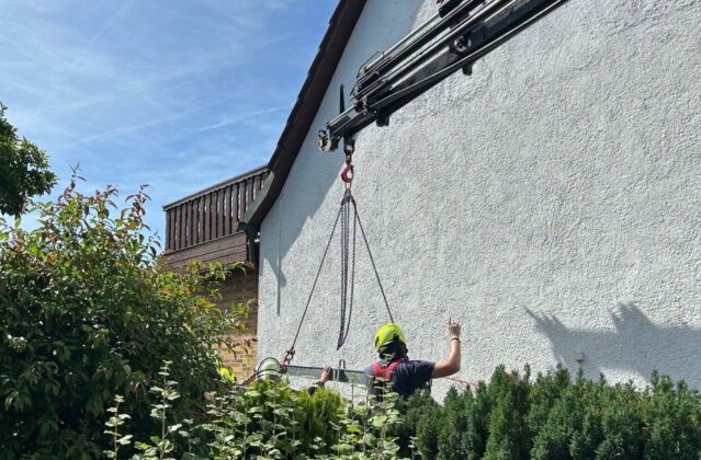 Tierrettung in Klein-Auheim: Feuerwehr hebt Hengst mit Kran aus Keller