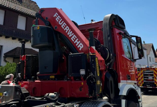 Tierrettung in Klein-Auheim: Feuerwehr hebt Hengst mit Kran aus Keller