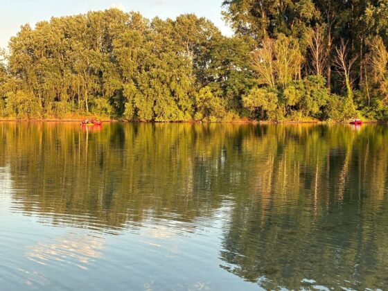 Wasserrettung im Rhein-Pfalz-Kreis: Vermisstensuche am Jägerweiher