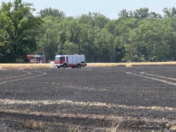 Zwei schwere Einsätze am Freitag fordern die Einheiten der Feuerwehr Worms bei extremer Hitzewelle