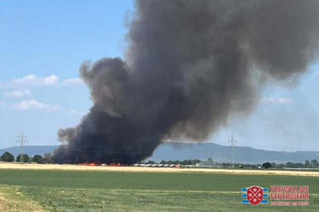 Riesiger Feldbrand fordert stundenlangen Einsatz der Feuerwehr Stockstadt am Rhein und 130 Rettern