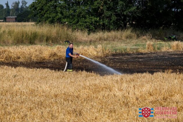 Riesiger Feldbrand fordert stundenlangen Einsatz der Feuerwehr Stockstadt am Rhein und 130 Rettern