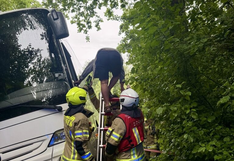 Unfall in Ratingen: Linienbus kommt auf Waldweg von Fahrbahn ab