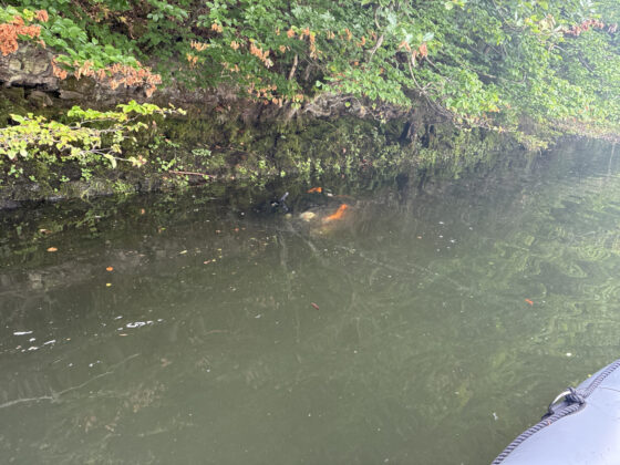 Unfall am Affolderner See: Roller stürzt acht Meter tief in Gewässer