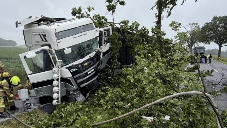 Unfall auf der Landstraße bei Kleinkneten: Lkw prallt gegen Baum